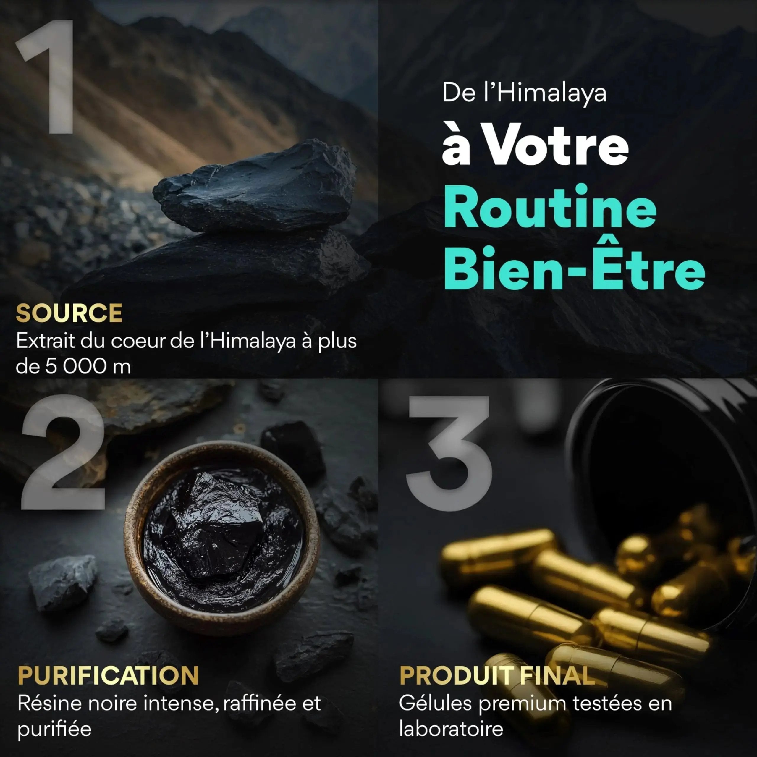 Shilajit+ 120 Gélules MOVEZEN