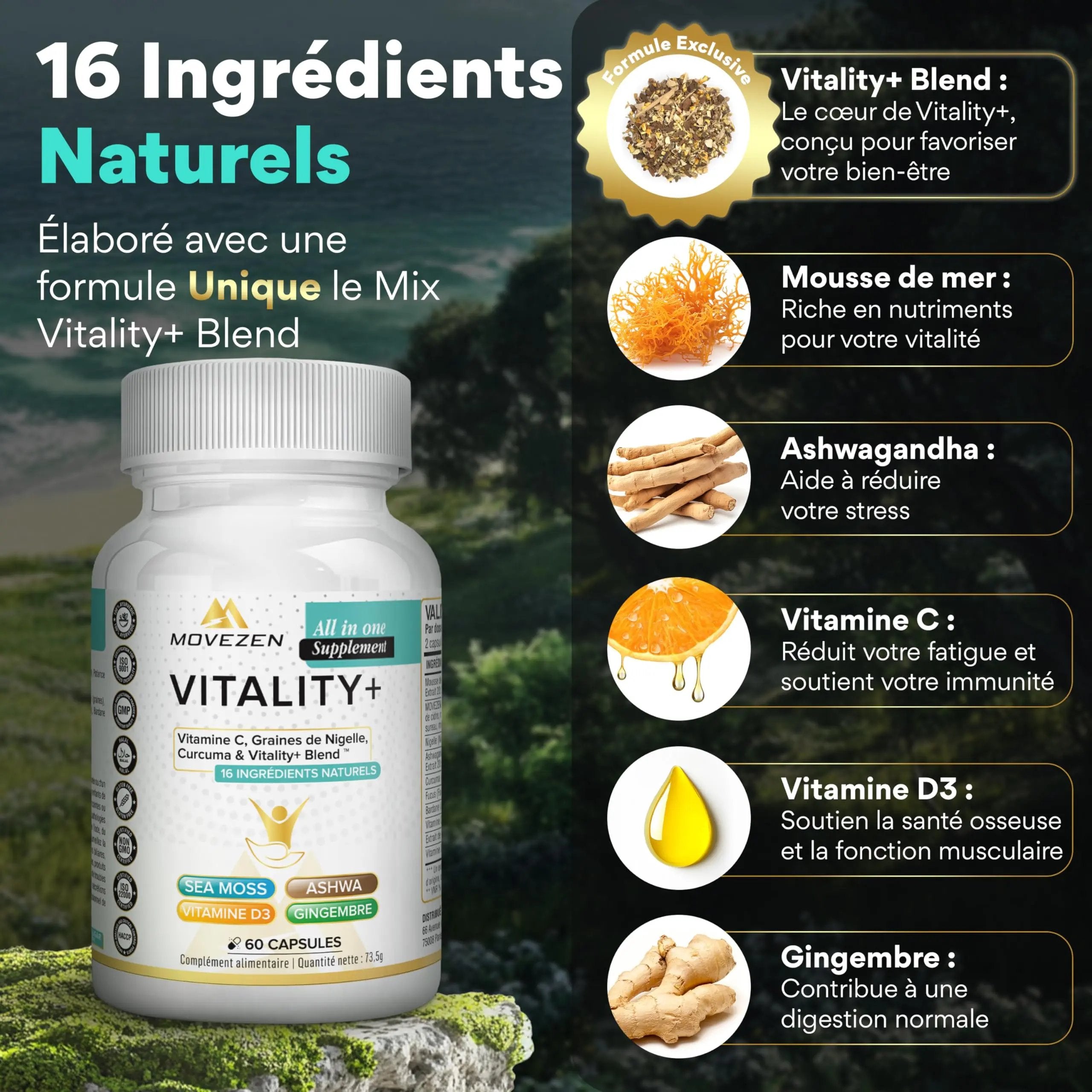 VITALITY + 16-en-1 - 60 Gélules Vegan MOVEZEN