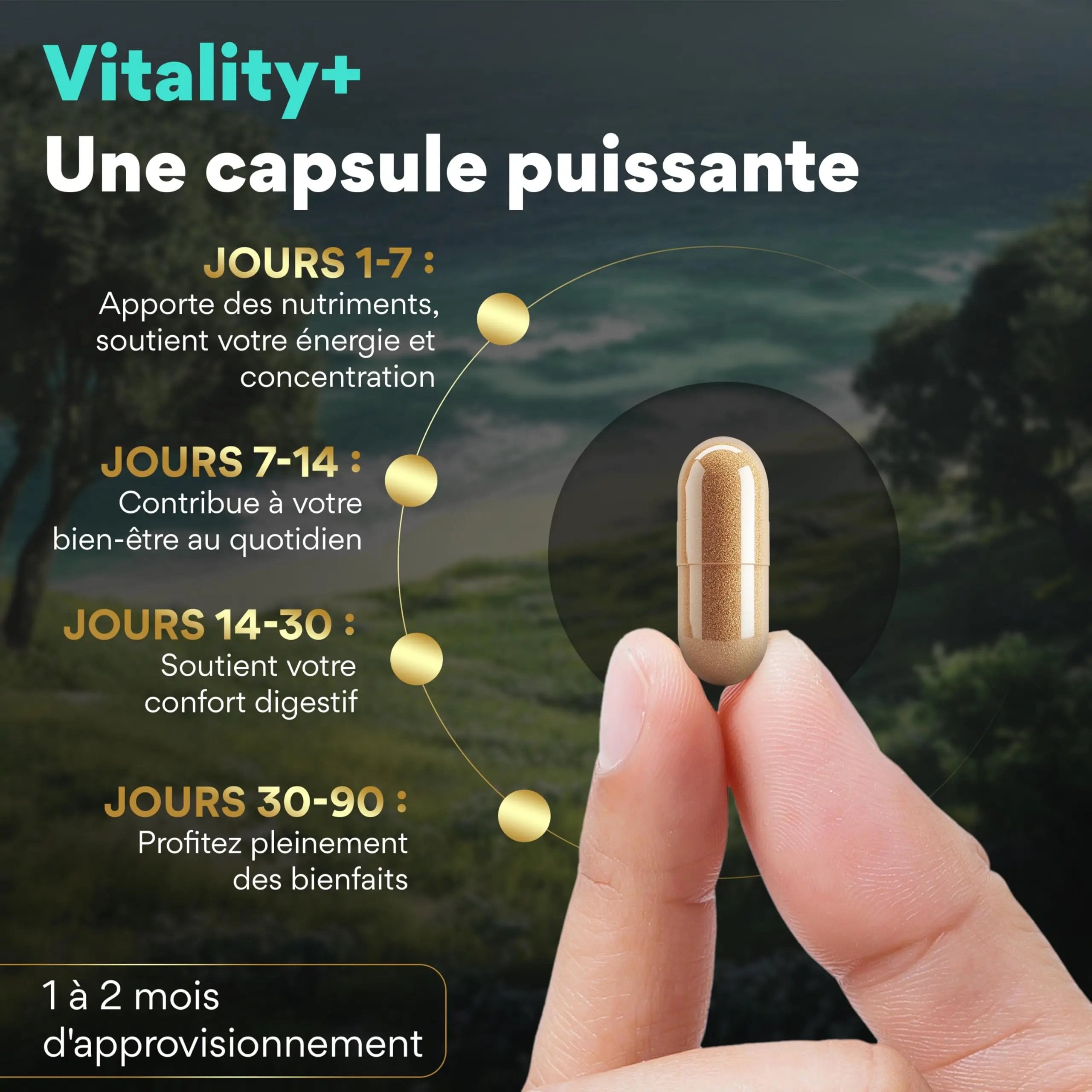 VITALITY + 16-en-1 - 60 Gélules Vegan MOVEZEN