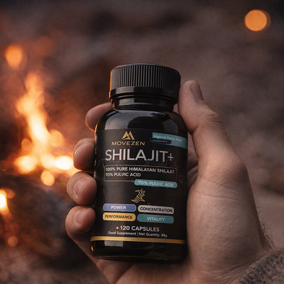 Shilajit pour la récupération