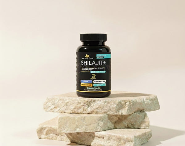 Shilajit Gélules